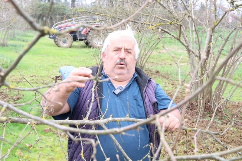 Kocaeli Büyükşehir'in Yüzde 50 Hibeli Gübre Desteğiyle 80 Bin Hektar Arazi Güçlendirildi