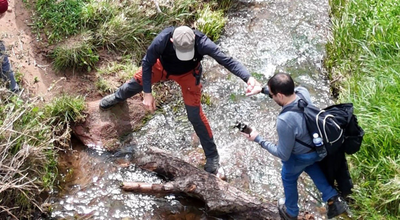 Gebze’den Ballıkayalar’a 10 Kilometrelik Doğa Yürüyüşünde Endemik Türler Ön Plandaydı