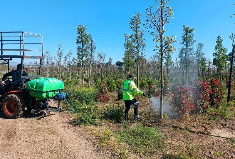 Kocaeli’de Genç Fidanlara Zararlılara Karşı Koruyucu İlaçlama Desteği