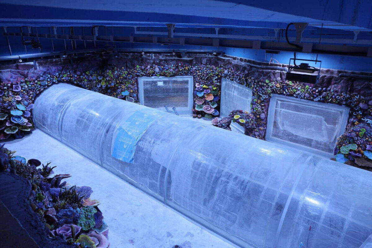 Kartepe Tramvay Hattı’nda Durakların Montajı Başladı: Çalışmalar Hızla İlerliyor