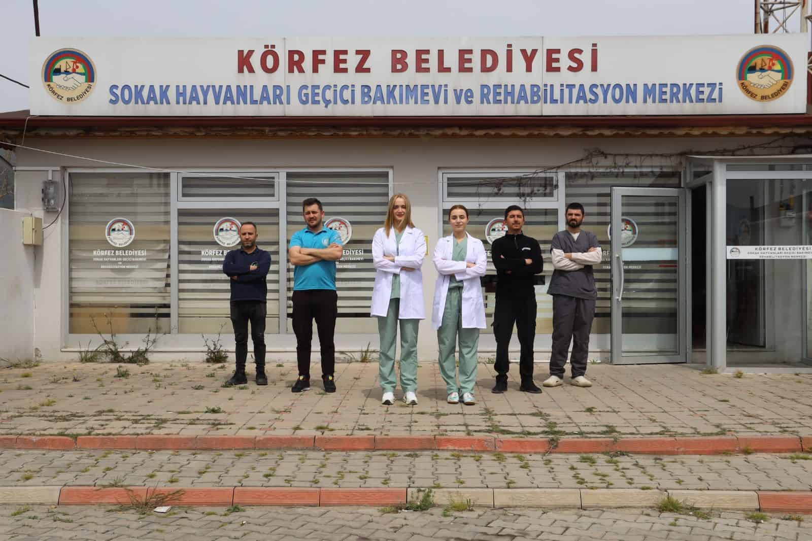 Körfez’de Yaralı Olan 'Kral' İsimli Kedi Başarılı Operasyonla Sağlığına Kavuştu